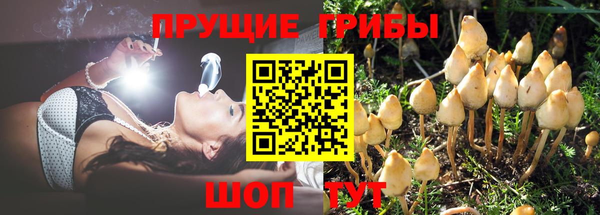 Краснодар  Псилоцибиновые грибы MAGIC MUSHROOMS  Галлюциногенные грибы ЛСД  Вход с VPN 